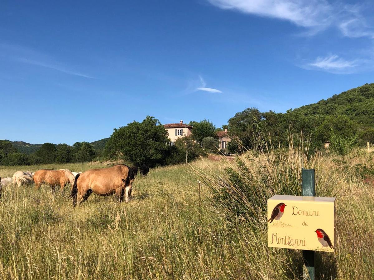 Bed and Breakfast Domaine De Montbarri La Tour-sur-Orb Esterno foto