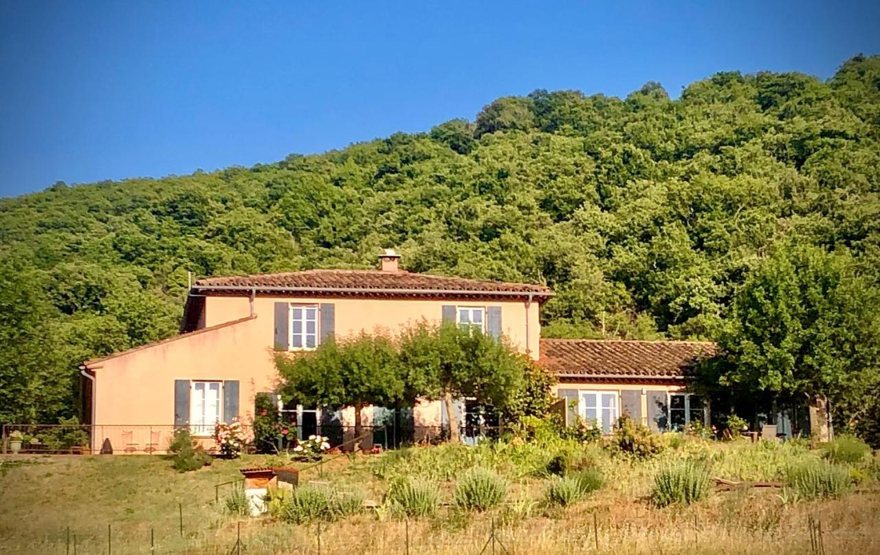 Bed and Breakfast Domaine De Montbarri La Tour-sur-Orb Esterno foto